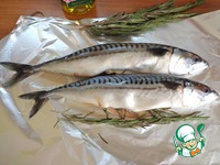 �������� � ���������� � ������� �� �������� �� ������ ������� �����������