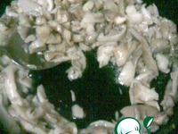 ����� "������" �����������