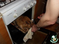 ���� "�������" �����������