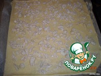 ����� "�����" �����������