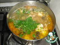 ���������� "�����-�����" �����������