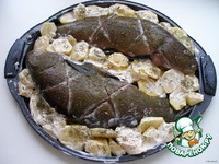 ����, ���������� � ������� � ���������� �����������