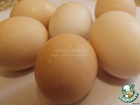 �����-������ �����������