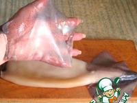 ������� �������� �����������