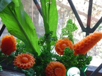 ������� ������ � ����������-1 �����������