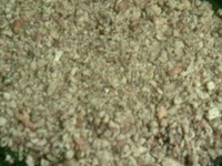 ���� "������� ���������" �����������