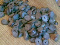 ����� "������ ����" �����������