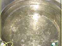 ������������ ��������� �����������