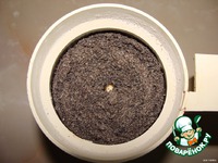 ������ �����������