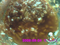 ����� ���� �����������