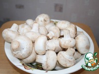 �����, ������������� ����� �����������