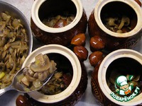 �������� ���� � �������� �����������