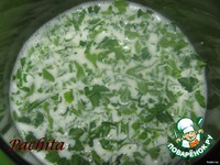 �������� "������" � �������� �����������