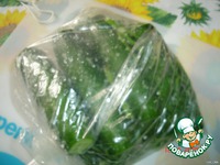 ������� ������������ ������ �����������