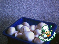 ����� � ������� �����������