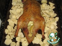 �������� ���� �����������