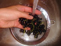 �������� "�e���� ���������" �����������