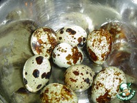 ����� � ������������ ������ �����������