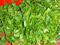 ��������  �  ��������  ������� �����������