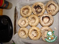 ����������, ������������� �������� �����������