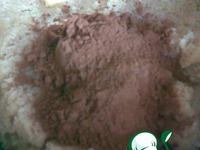 ����� �� ... ����� �����������