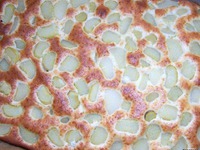 ������� ����� �� ������ �����������