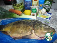 ���� � ���� �����������