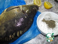 ���� � ���� �����������