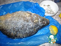 ���� � ���� �����������