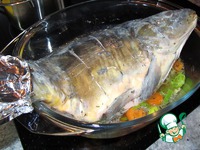 ���� � ���� �����������