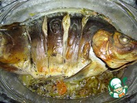 ���� � ���� �����������