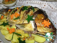 ���� � ���� �����������