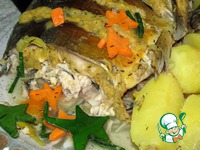 ���� � ���� �����������