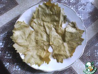 ����� �����������