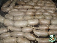 ������� �������� �����������