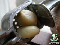 ����� ��-��������� �����������