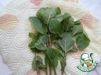 ������� �������, ���������� � ������ ����� �����������