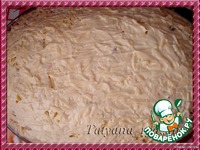 ����� "���������� ����������" �����������