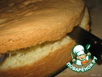 ���� "����������" �����������