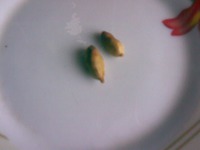 ���������� ������� � ������� ������� �����������