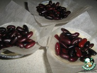 ������� ������ �����������