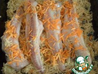 ����, ���������� � ���� �����������