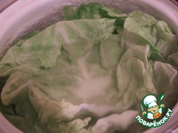 ������� � ������ �����������