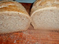 ��������-������ ���� �� �������� �����������