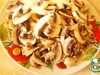 ������ �� ���������� � ������� �����������