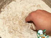 ���� �������� �����������