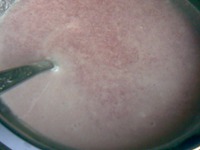 "������" �������� � ������� �������� �����������