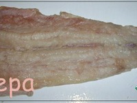 ������������� ���� �����������