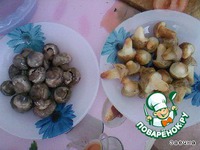 ���� � ������� �����������