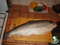 ������ ���� � ���� ��������� "������" �����������